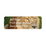 I Love Lions Mailing Labels