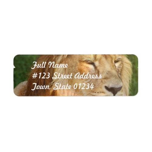 I Love Lions Mailing Labels
