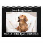 I Love Long Haired Miniature Dachshunds Calendar at Zazzle