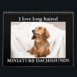 I LOVE long haired MINIATURE DACHSHUNDS Calendar<br><div class="desc">Beautiful Doxie Pups in a variety of colors and patterns</div>
