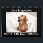 I LOVE long haired MINIATURE DACHSHUNDS Calendar<br><div class="desc">Beautiful Doxie Pups in a variety of colors and patterns</div>
