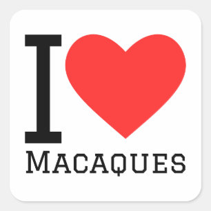 I love macaques square sticker