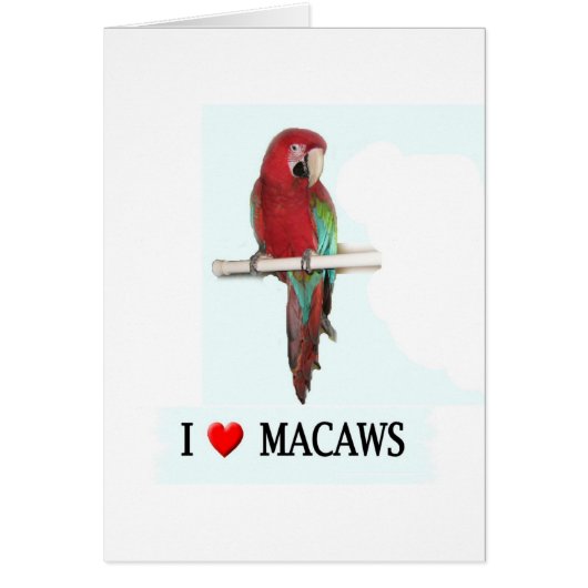 I love Macaws Cards (Front)