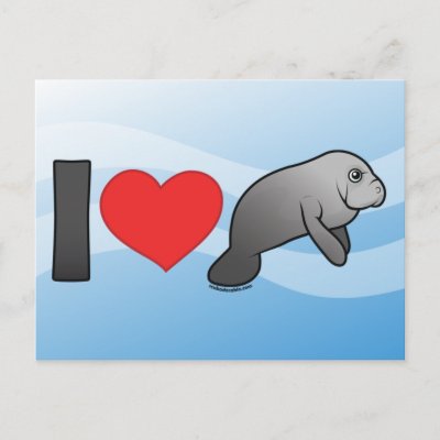I Love Manatees Postcard