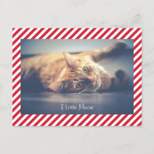 I Love Meow Cat Valentine's Day Photo Postcard