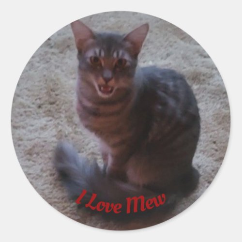 I Love Mew Gray Tabby Cat Photo Classic Round Sticker