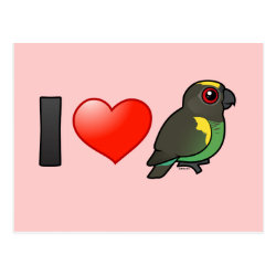 I Love Meyer's Parrots Postcard