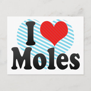 I Love Moles Postcard