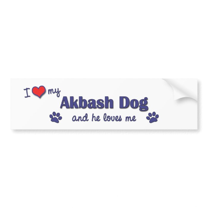 I Love My Akbash Dog (Male Dog) Bumper Stickers