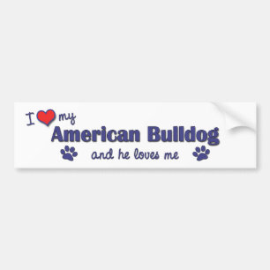 I Love My American Bulldog (Male Dog) Bumper Sticker