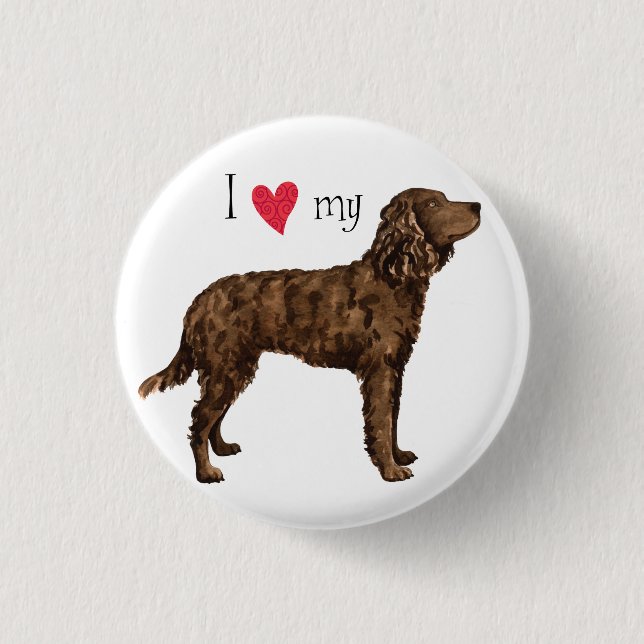 I Love my American Water Spaniel Button (Front)