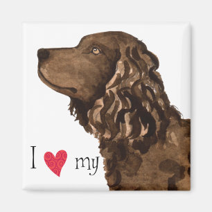 I Love my American Water Spaniel Magnet