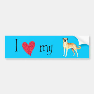 I Love my Anatolian Shepherd Bumper Sticker