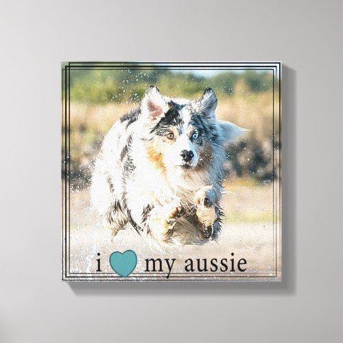 I love my Aussie Australian Shepherd Black Border Canvas Print