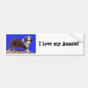 I love my Aussie! Bumper Sticker