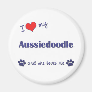 I Love My Aussiedoodle (Female Dog) Magnet