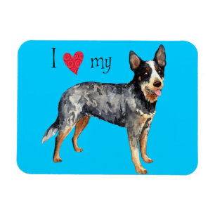I Love my Australian Cattle Dog Magnet
