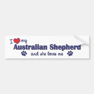 I Love My Australian Shepherd (Female Dog) Bumper Sticker