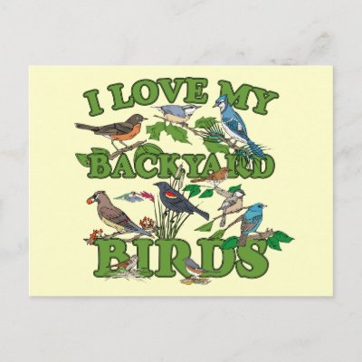I Love My Backyard Birds Postcard