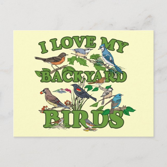 I Love My Backyard Birds Postcard (Front)