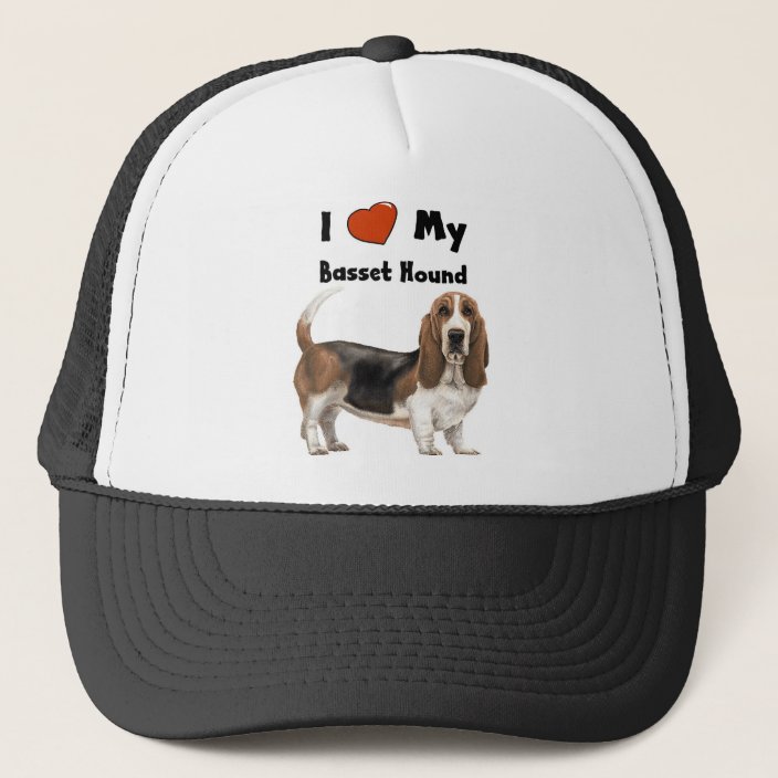 hound hat