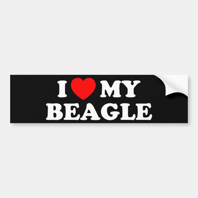 I Love my Beagle Bumper Sticker (Front)