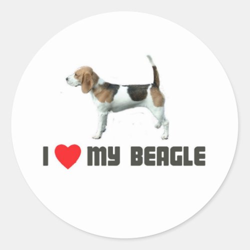 I Love My Beagle Classic Round Sticker