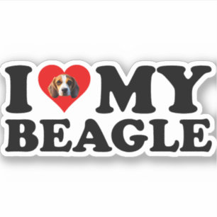 I Love My Beagle Sticker