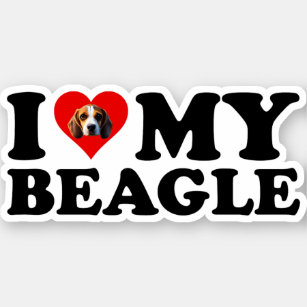 I Love My Beagle Sticker