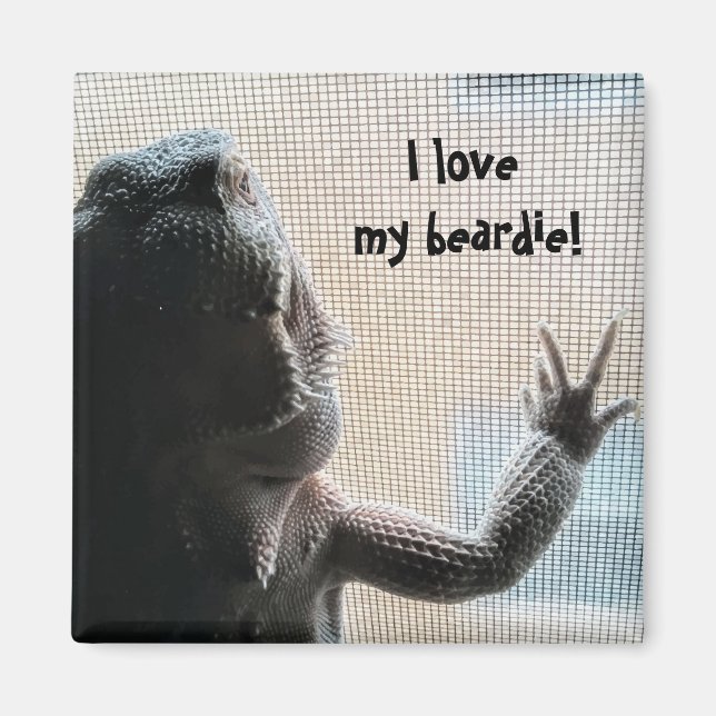 I love my beardie Cute Bearded Dragon Print Magnet (Front)