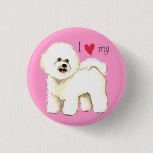 I Love my Bichon Frise Button