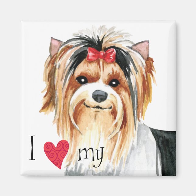 I Love my Biewer Terrier Magnet (Front)