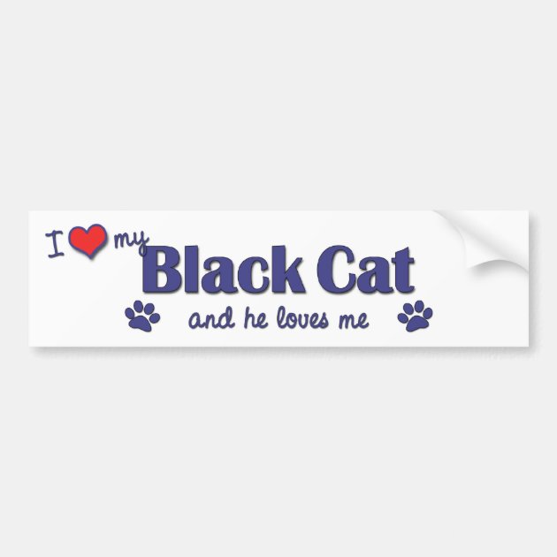I love my Cat Bumper Sticker 