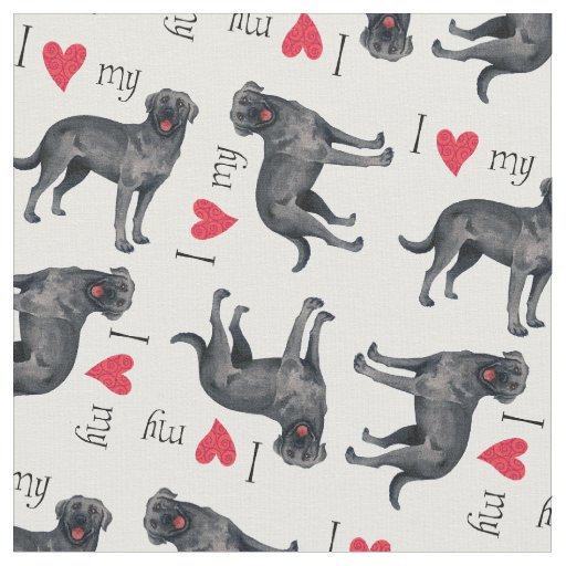 I Love my Black Lab Fabric