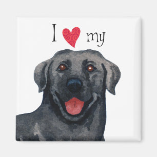 I Love my Black Lab Magnet