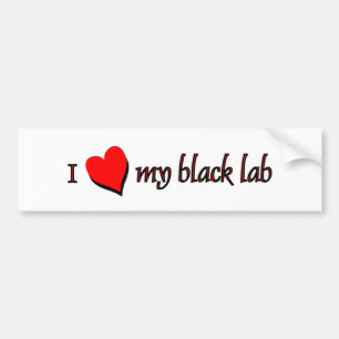 I Love my Black Labrador Bumper Sticker