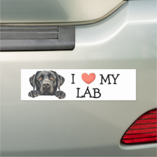 I love My Black Labrador Heart Car Magnet