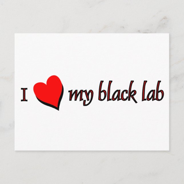 I Love my Black Labrador Postcard (Front)