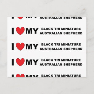 i love my black tri mini aussie postcard