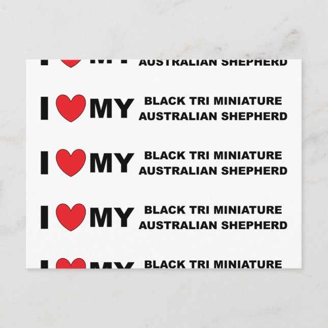 i love my black tri mini aussie postcard (Front)