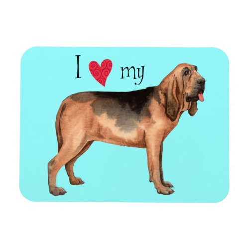 I Love my Bloodhound Magnet