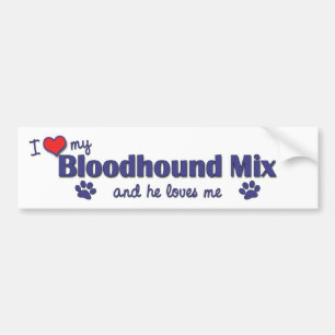 I Love My Bloodhound Mix (Male Dog) Bumper Sticker