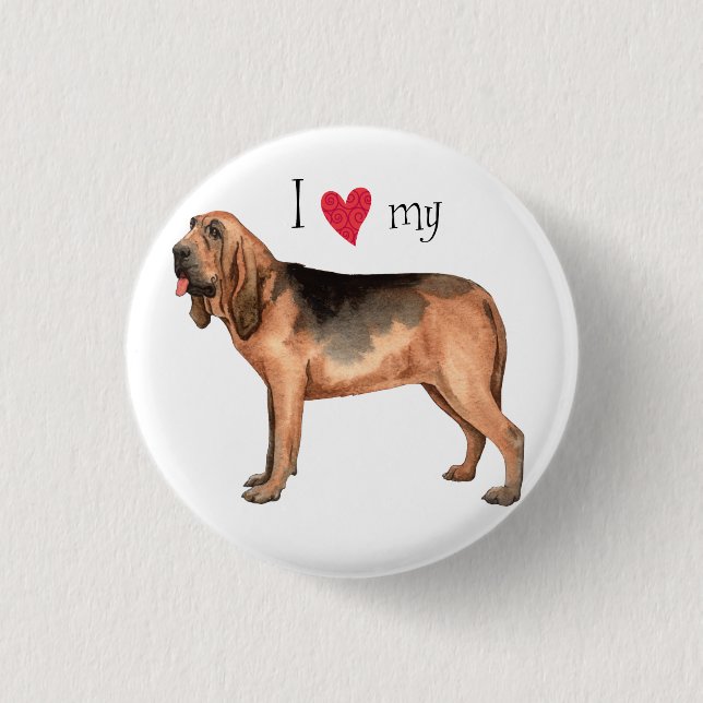 I Love my Bloodhound Pinback Button (Front)