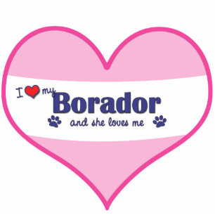 I Love My Borador (Female Dog) Statuette