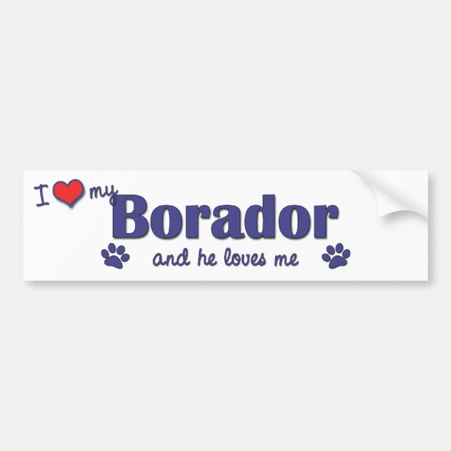I Love My Borador (Male Dog) Bumper Sticker (Front)