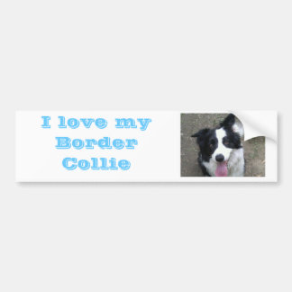 I love my Border Collie Bumber sticker