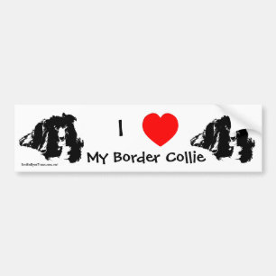 I Love My Border Collie Bumper Sticker