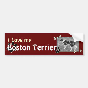 I love my Boston Terrier Bumper Sticker