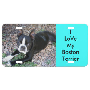 I LoVe My Boston Terrier License Plate