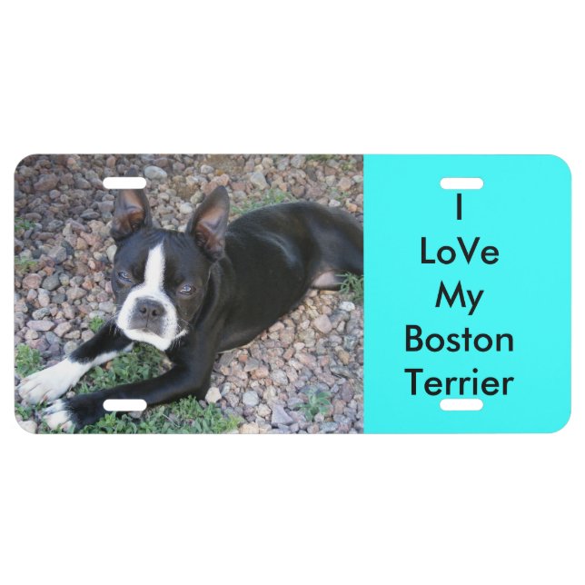 I LoVe My Boston Terrier License Plate (Front)